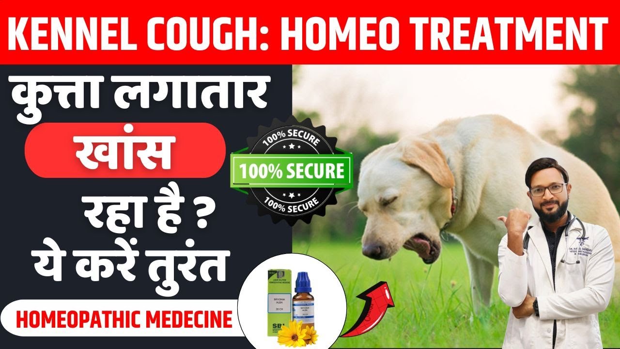 डॉग खांसी का होम्योपैथिक इलाज – तुंरत आराम  Stop Kennel Cough in Dogs – Fast Natural Cure !