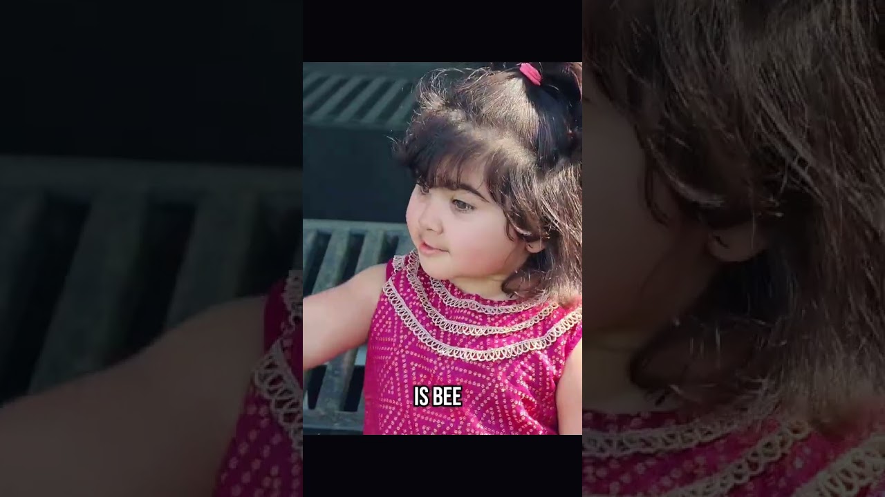#nooresehar