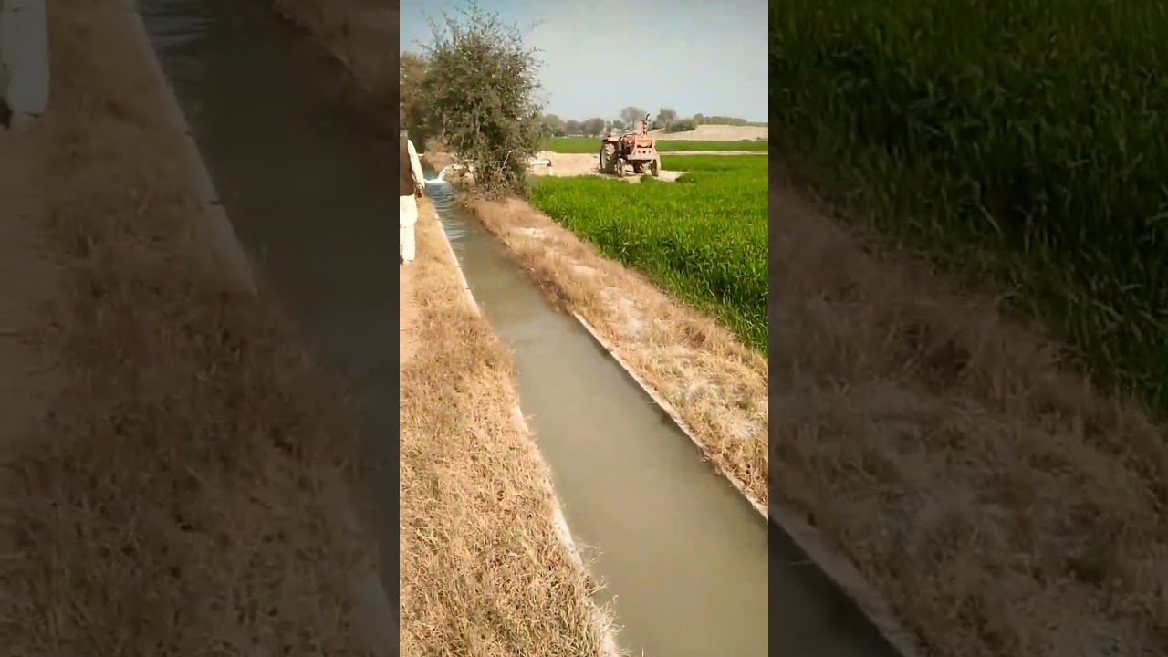 irrigation system in Punjab village insiders February 9, 2024