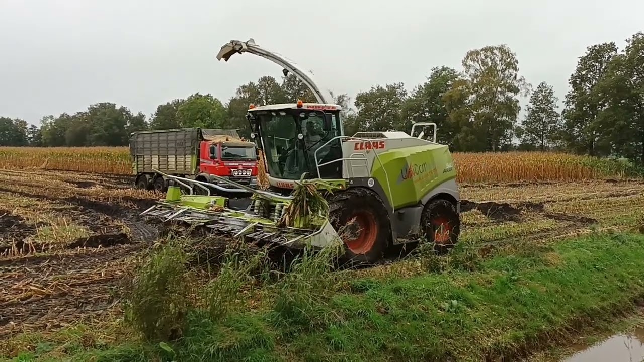 Hakselaar en agritruck Tatra vast in de modder tijdens hakselen