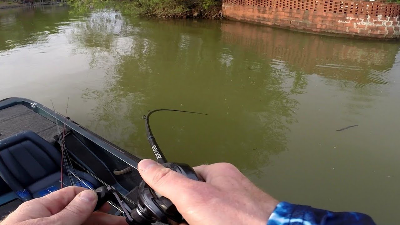 I caught a big bass at Lake Lookout