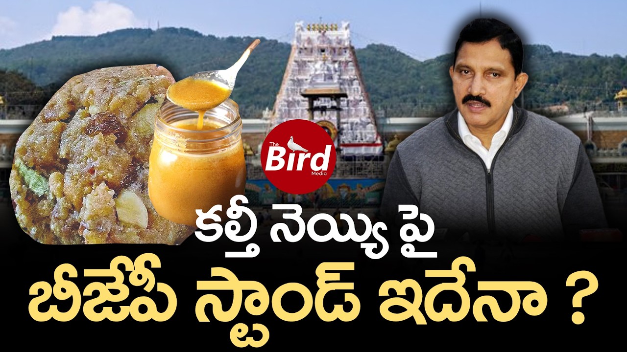 కల్తీ నెయ్యి పై బీజేపీ స్టాండ్ ఇదేనా ? TTD Adulterated Ghee Issue 🚨 BJP Stand Exposed | TTD Ladu 