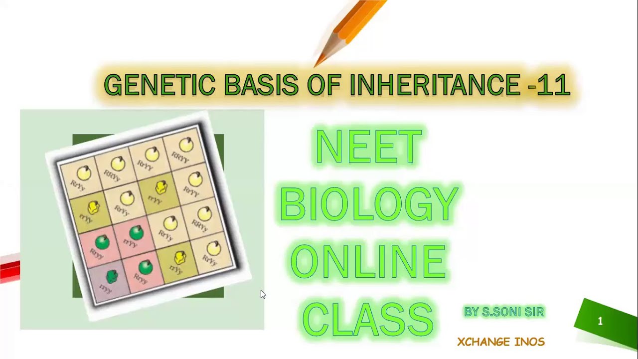 Principles of Inheritance & Variation L 11 |morgan experiment |sex determination| xchange  | S.SONI