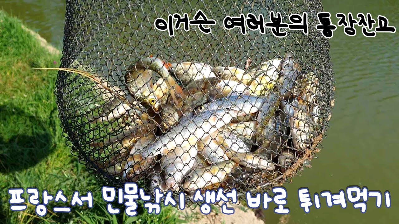 프랑스에서 뭐하멘? 낚시로 잡은 생선 현장에서 바로 손질해서 튀겨 먹었습니다 Pêche et Poisson frit