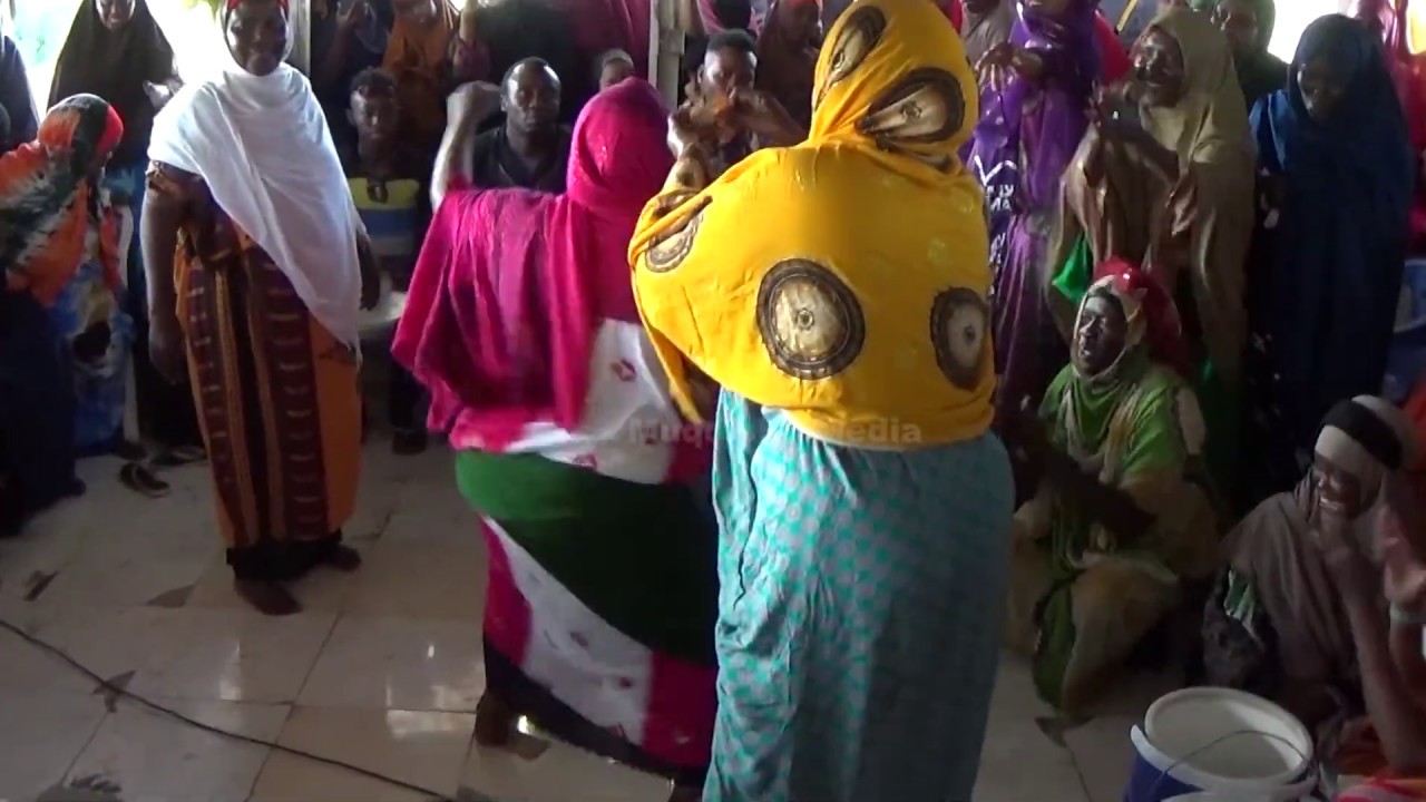 Niiko kala duduwan oo Waali ah Bashaalka qosolka