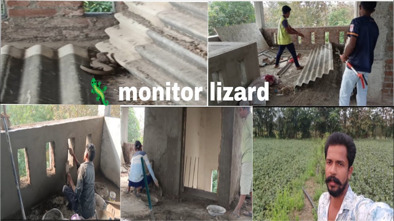 #monitorlizard 