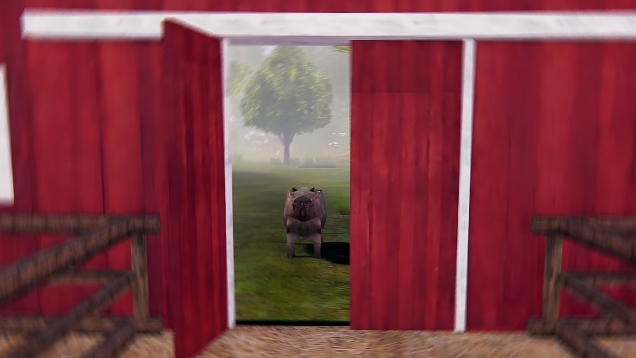 Don’t Trust the Capybara | KACIPBARA