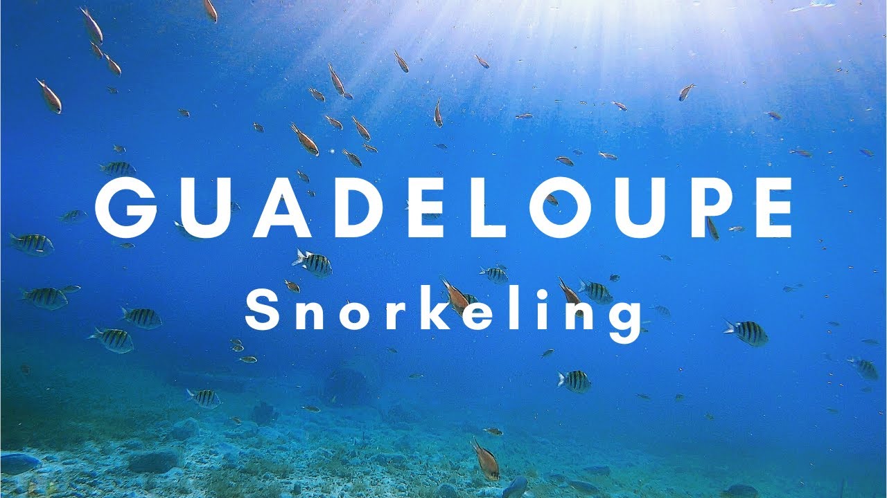 GUADELOUPE Snorkeling, Pain de Sucre | 4K GOPRO