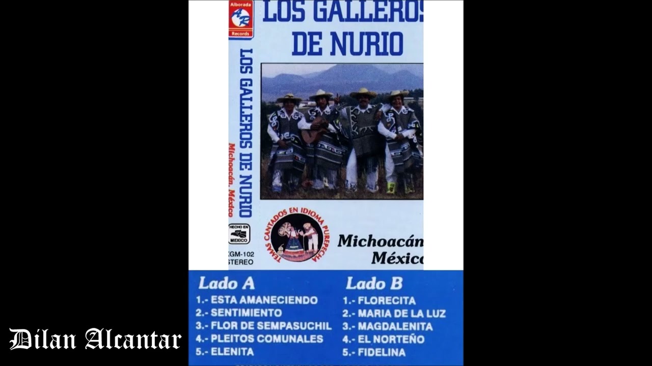 #Mix De Los Galleros De Nurio - Lado A Y Lado B - Album Completo