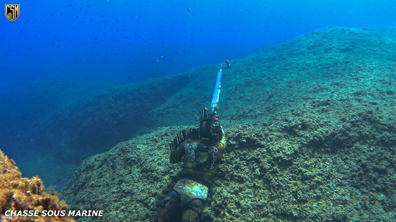CHASSE SOUS MARINE Denti énorme Pêche sous marine Méditerranée Poisson