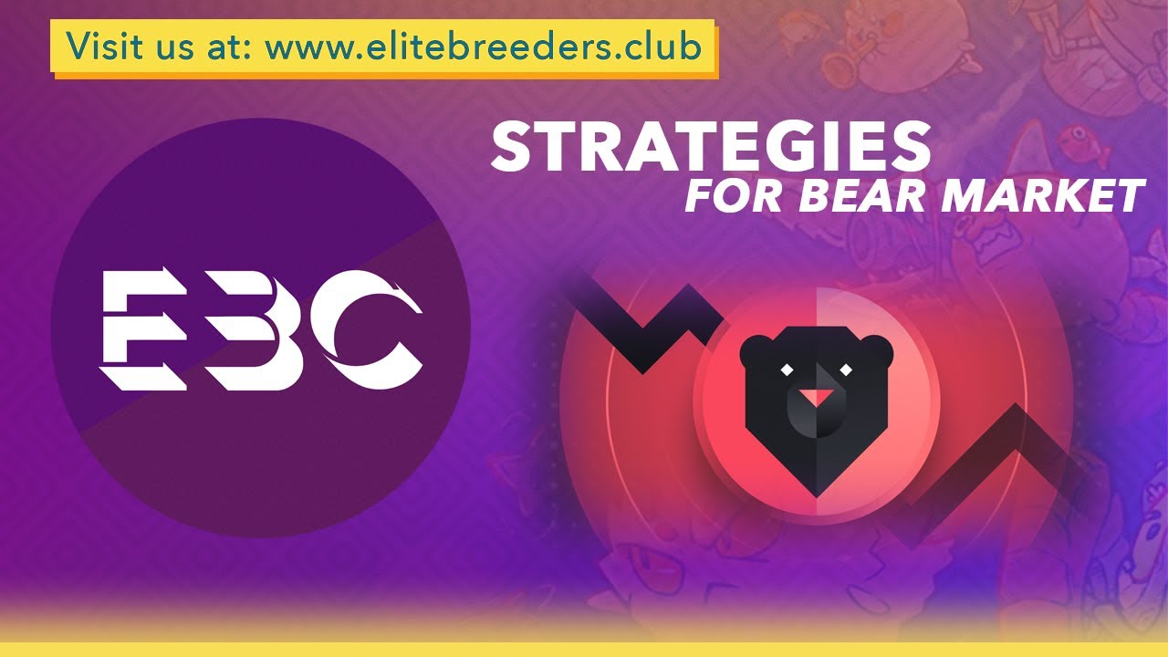 Strategies for a Bear Market | EBC Seminar