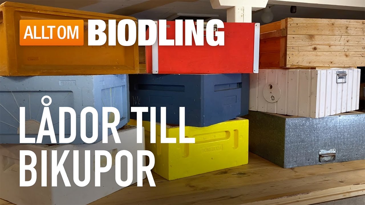 Låda till bikupa - Biodling