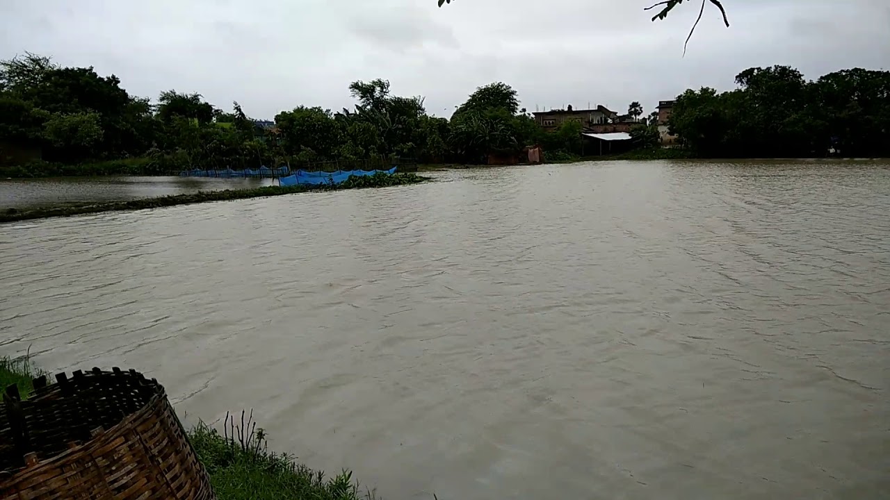 Madhubani village during heavy rain bihar