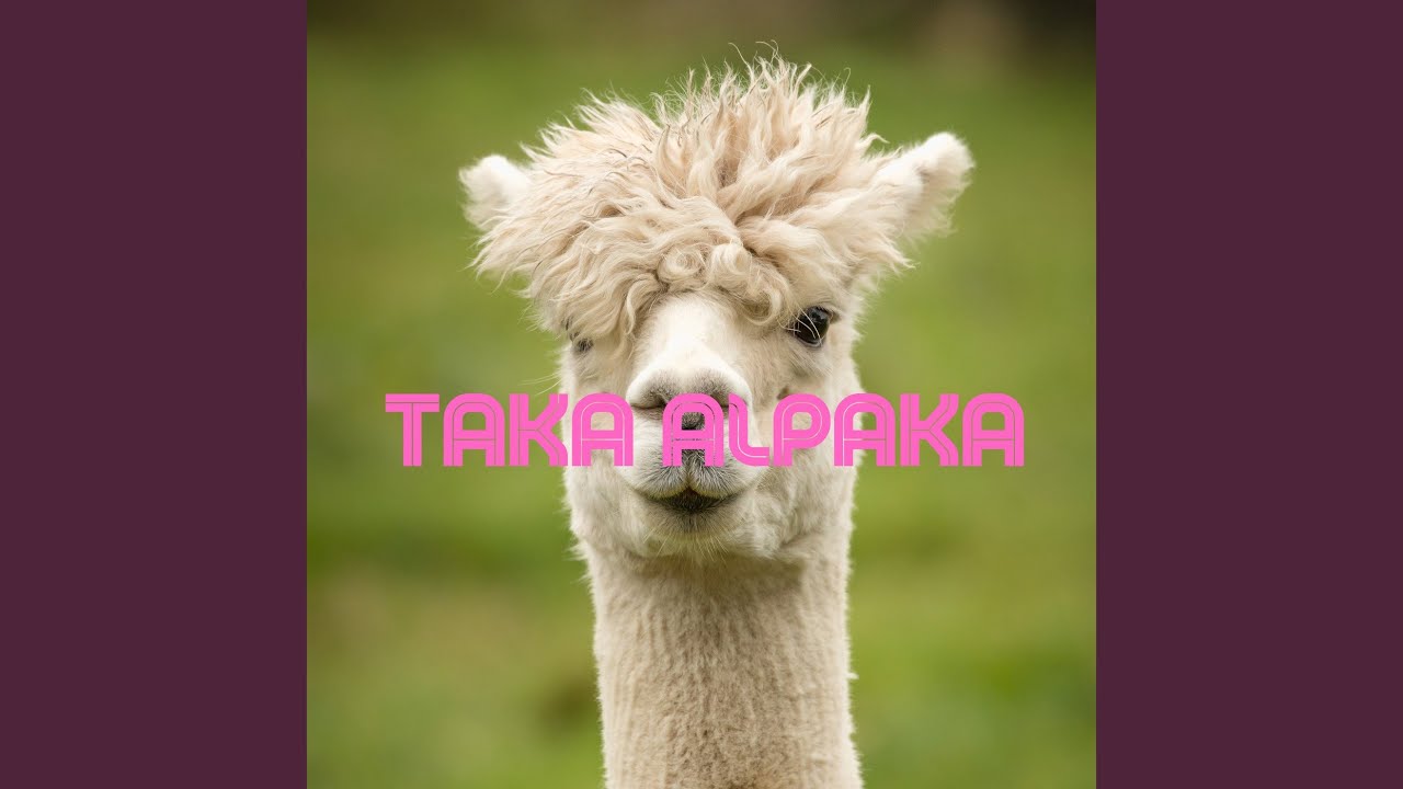 Taka Alpaka