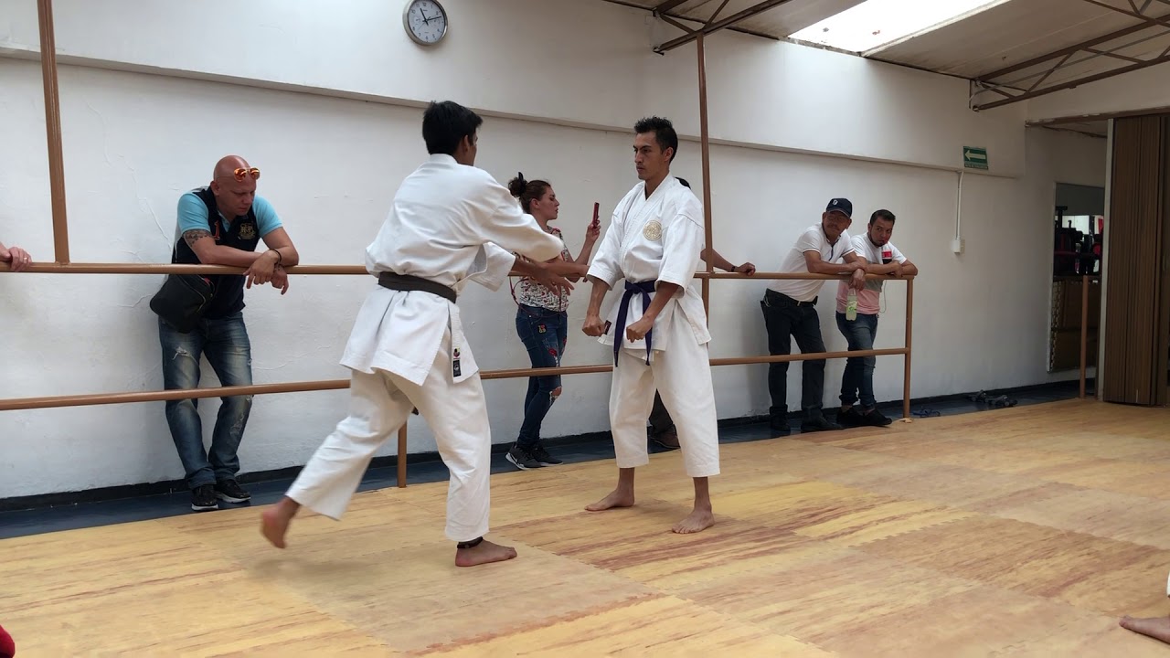 Examen 1er KYU Shotokan