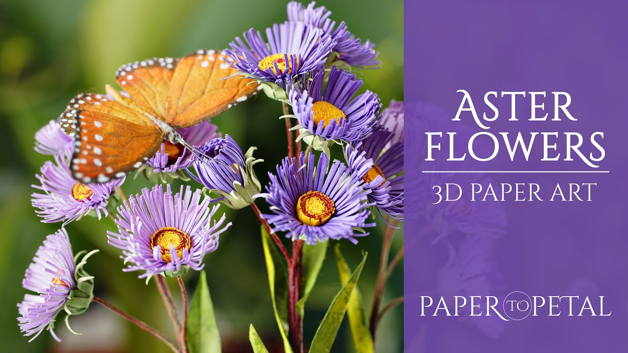 Aster Flowers - 3D Paper Art - ASMR/No Music - Relaxing Art
