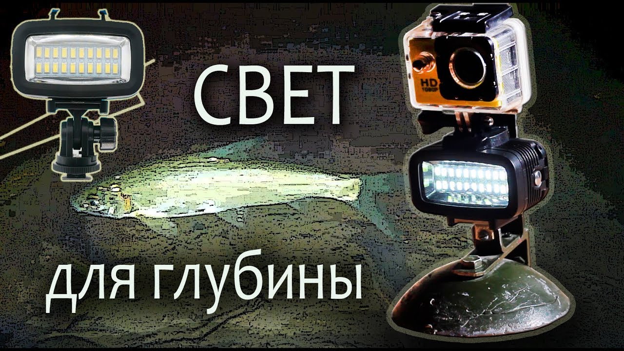 Подводный фонарь для экшн-камеры. Реакция рыбы на свет.