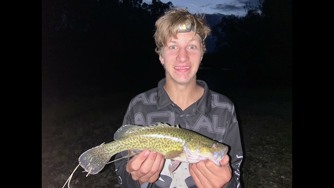 Bushland Hideaway on the River