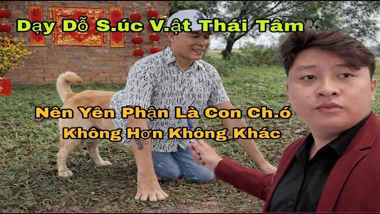 Cách Tâm Cụt Từ Con Cún Trở Thành Phật Sống Để Nhận Tiền