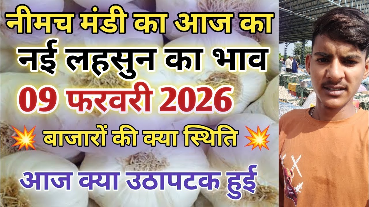 नीमच मंडी आज का नई लहसुन का भाव / Neemuch mandi bhav today / Neemuch mandi lahsun bhav