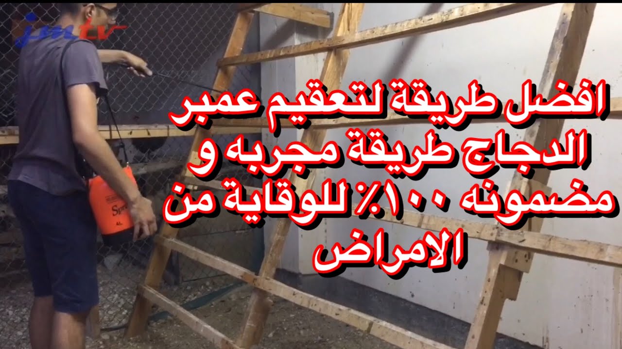 افضل طريقه لتعقيم حضيرة (عمبر) الدجاج من الڤايروسات و الامراض مجربه و مضمونه