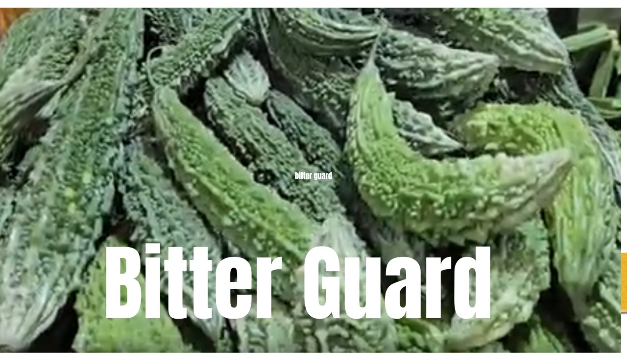 “How to Cook Bitter Gourd That Actually Tastes Amazing!”