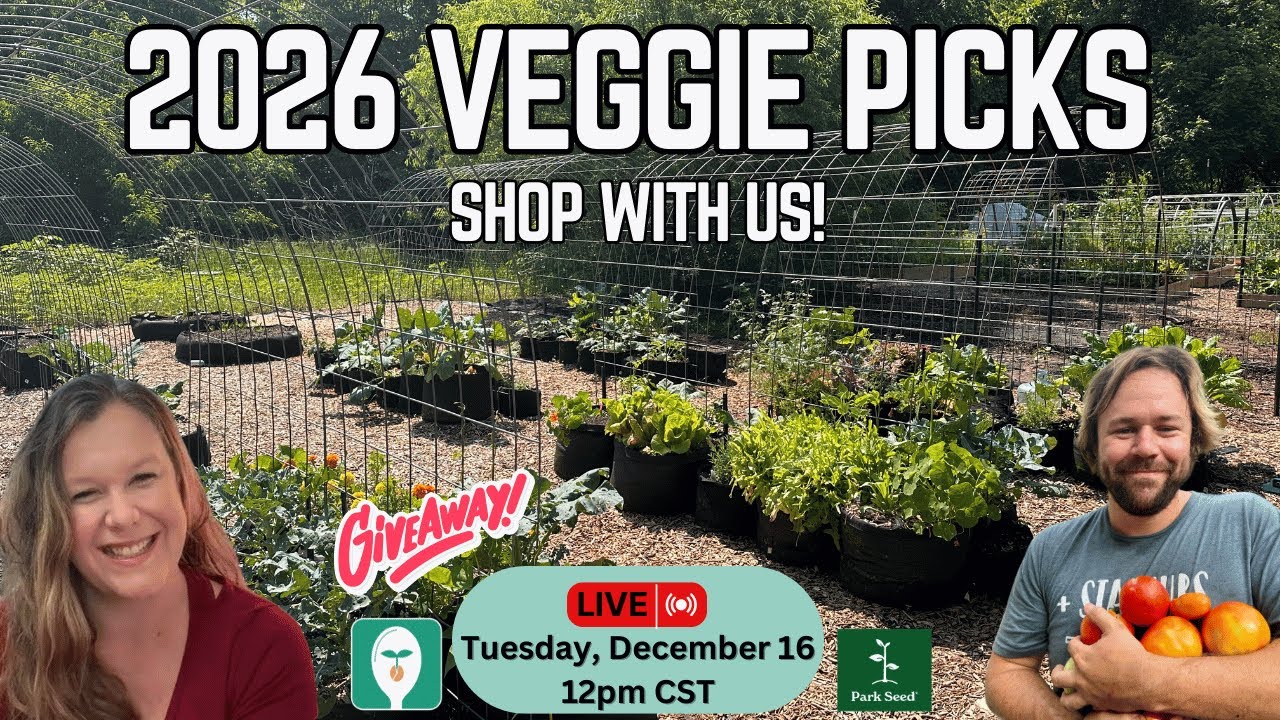 LIVE Veggie Seed Shopping! Join Us as We Pick What We’re Growing in 2026!