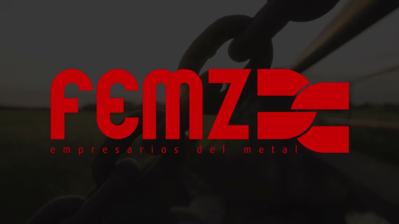 &iquest;Qu&eacute; es FEMZ?