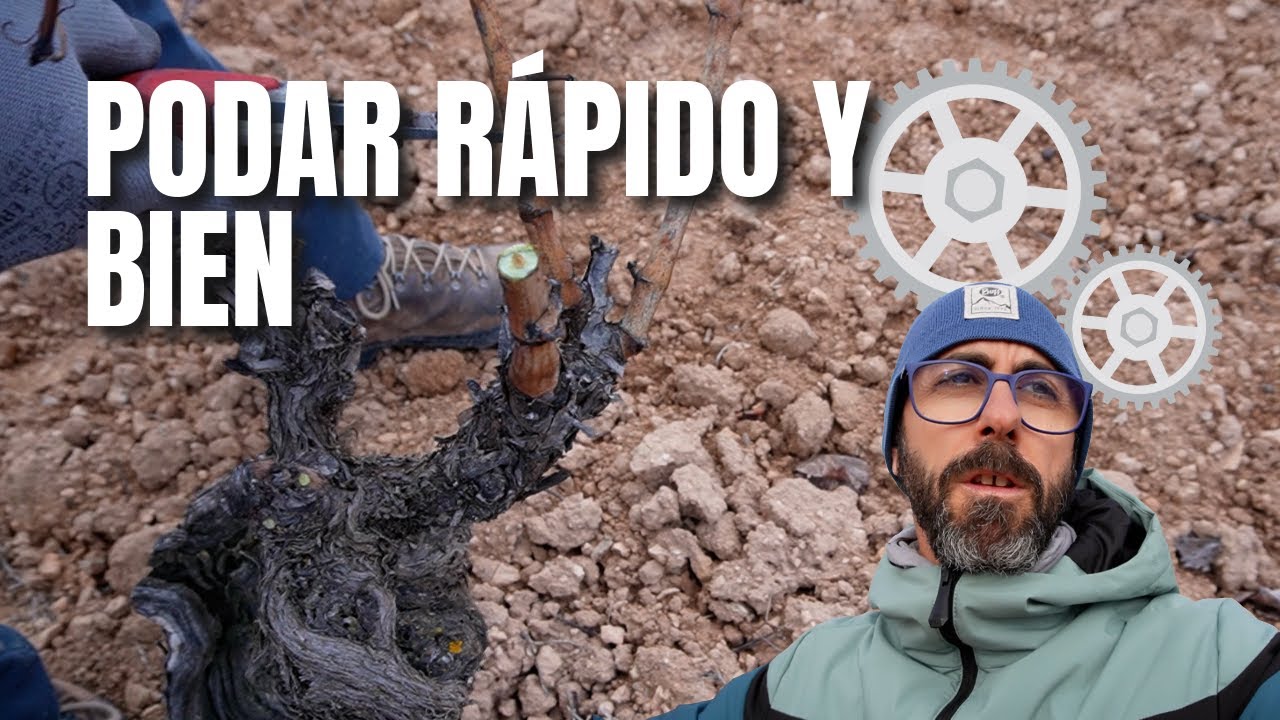 Podar rápido y bien es posible.