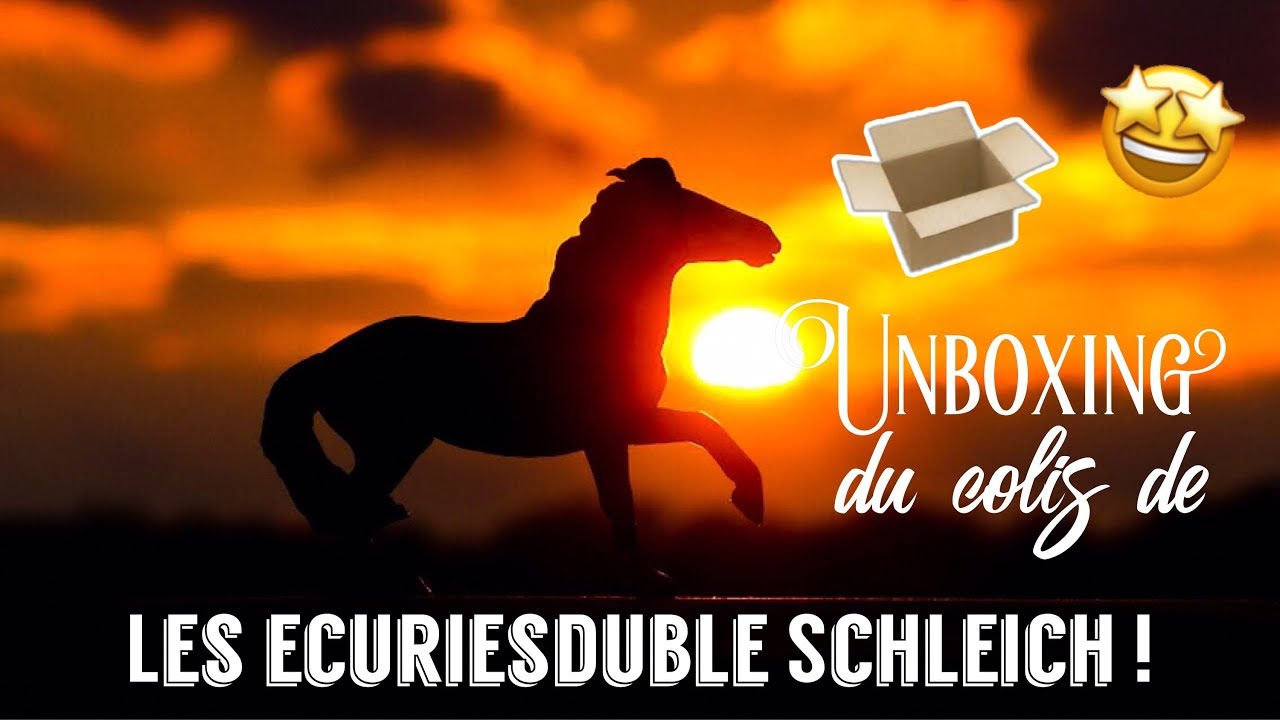 [Colis/Achat 49] Unboxing du colis de Lesecuriesduble Schleich ! 📦