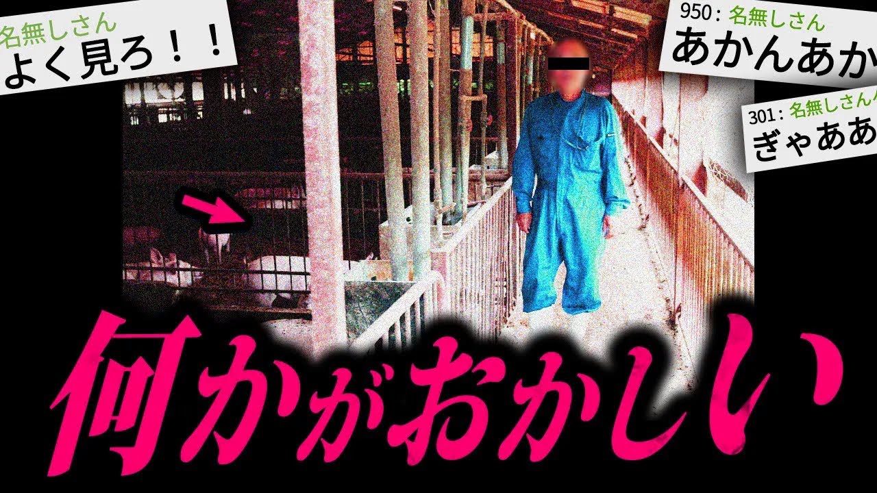 【トラウマ注意】最後まで聞いたら100%後悔する怖い話「養豚場」