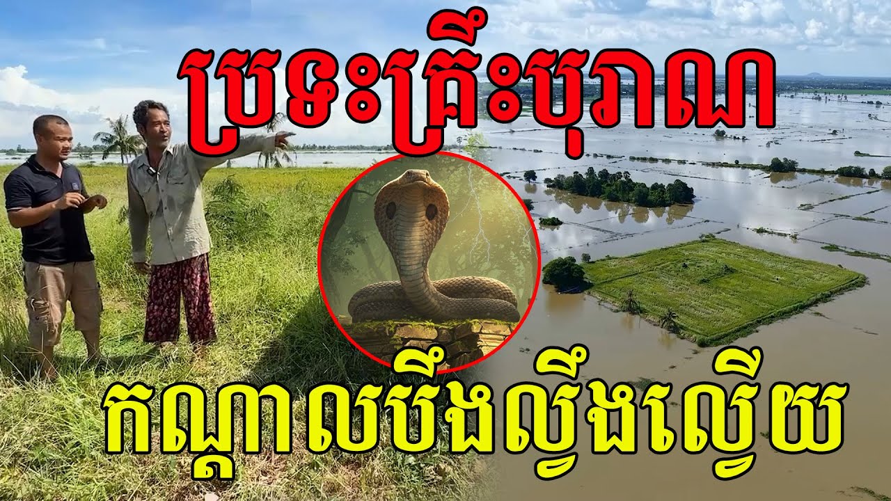 ប្រទះគ្រឹះ​ទួលបុរាណ​ កណ្ដាលបឹងល្វឹងល្វេីយ​ កូនសូមសុខសប្បាយ🙏