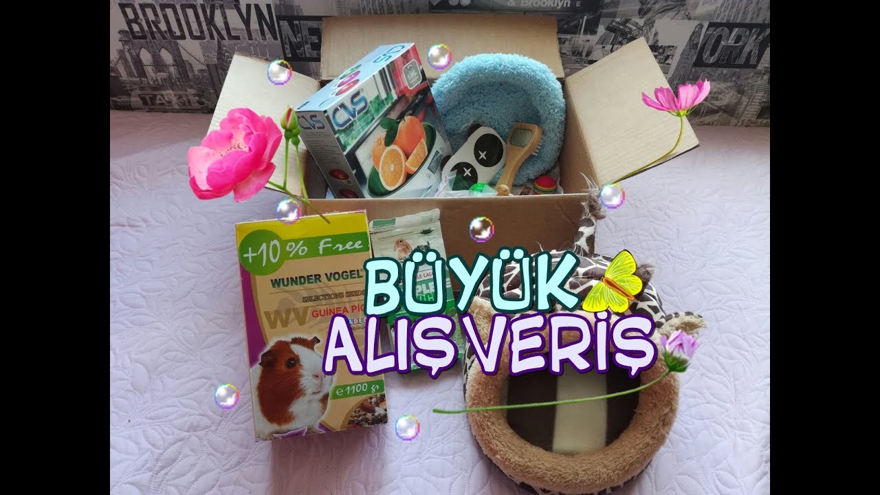 Büyük Alışveriş | Guinea Pig Eşyaları, Wunder Vogel Yem, Ödül Krakeri | Big Shopping