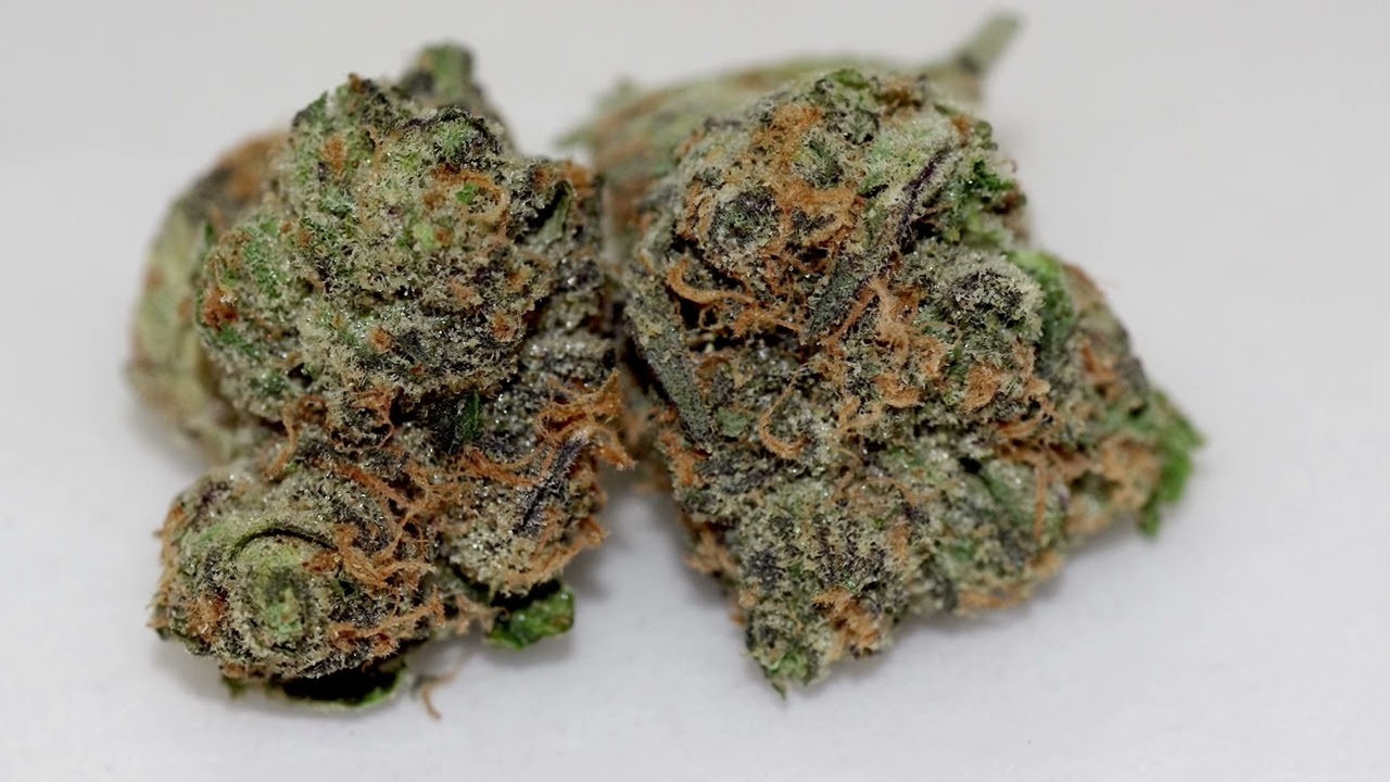 Cresco High Supply Flower Review&mdash; Zhirley Temple