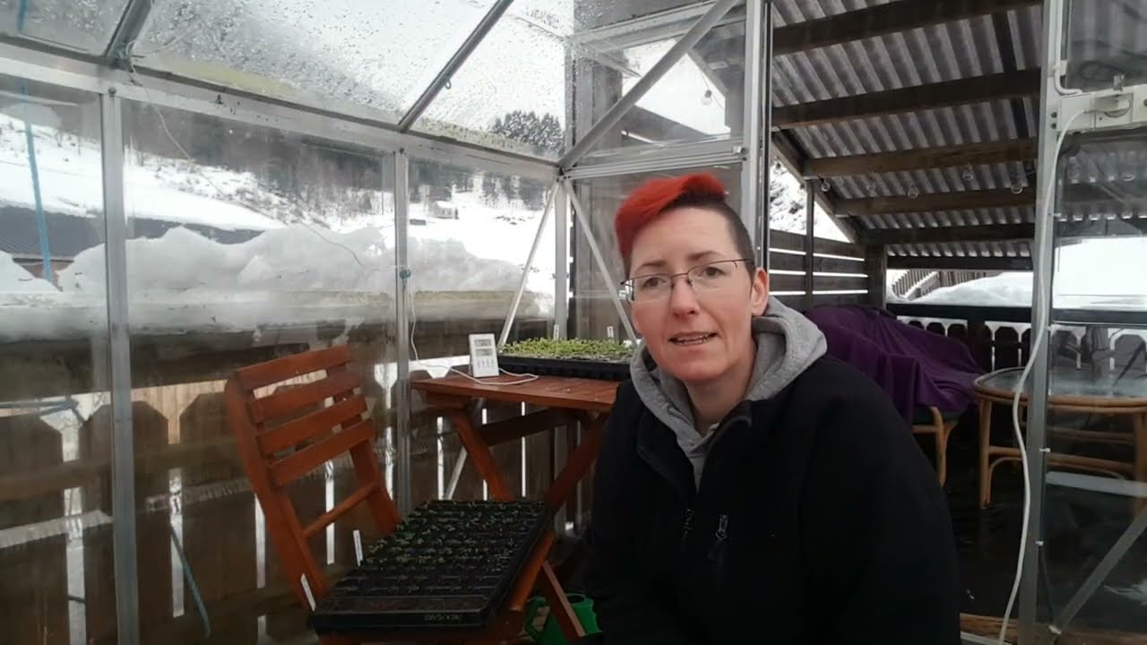 Trude Lever Livet - Oppdatering på salaten