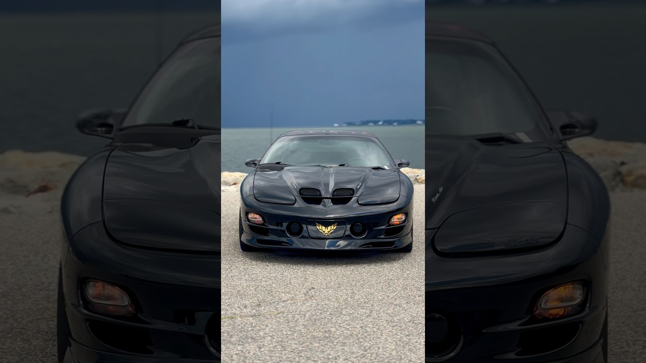 Pontiac Trans Am WS6 #shorts #pontiactransam #musclecars #transam #ws6 #americanmusclecar #firebird