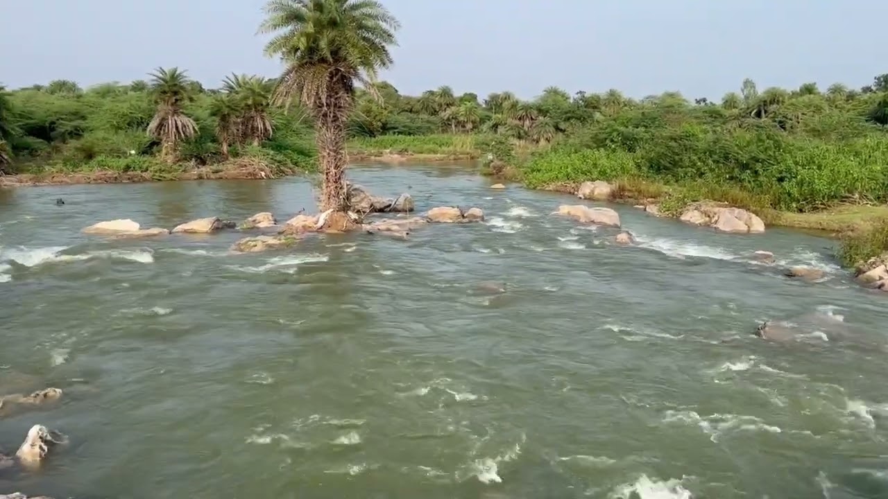 Motisagar dam downstream 