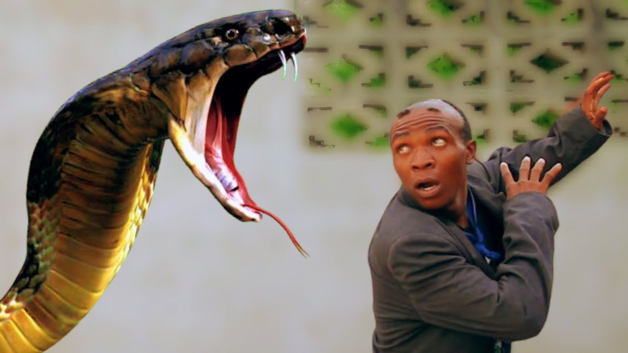 SHANI MWANAFUNZI MCHAWI |13|