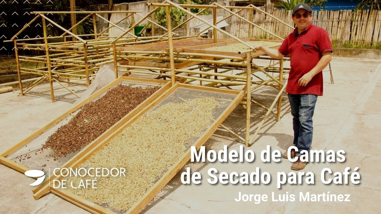 Construye una cama práctica de secado para café: Jorge Luis Martínez, consultor experto en procesos.
