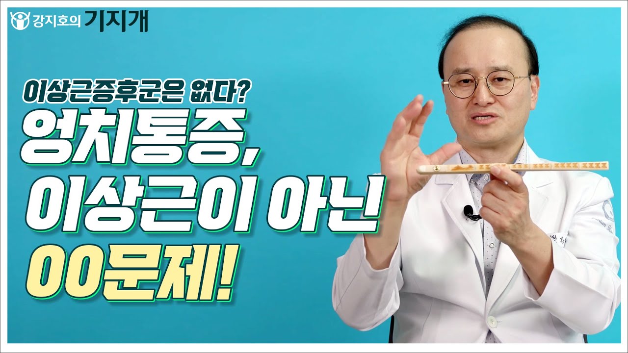 이상근증후군은 없다? 엉덩이통증, 고관절통증, 골반통증의 진짜 원인! (ft. 이상근스트레칭의 효과는?)