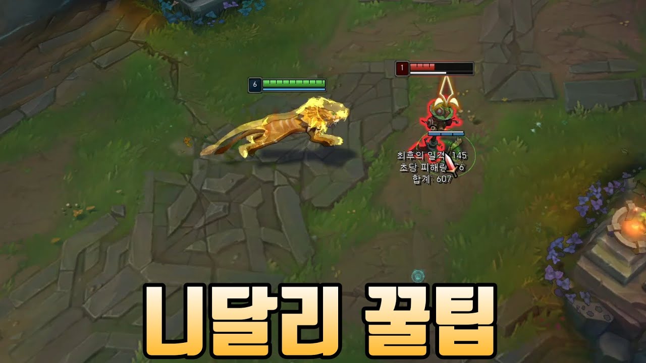 1분 니달리 꿀팁 잡기술