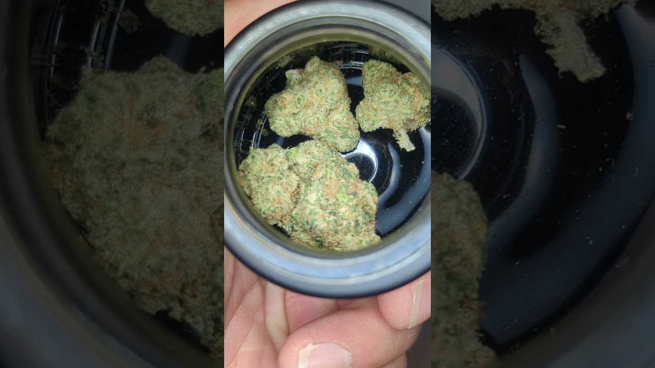Growers Circle New Mexico Flower Strain(Biscochitos)💯🔥⛽best flowers out ! in the state