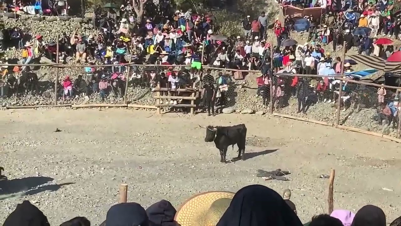 CORRIDA DE TOROS - CARMEN DE LOS ANDES, VINTO - COCHABAMBA 6 de agosto de 2024