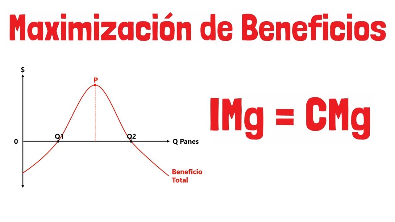 MAXIMIZACIÓN DE BENEFICIOS - Explicado para principiantes!
