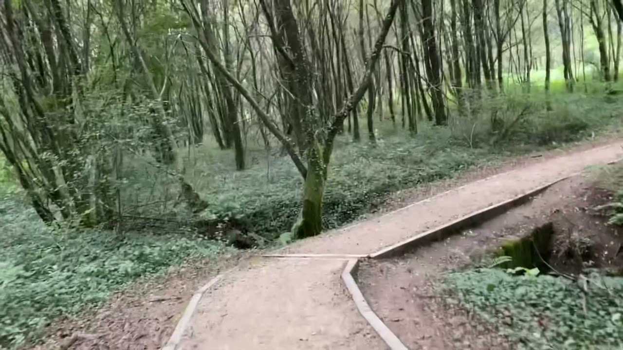 Camino por el río Tea desde Ponteareas