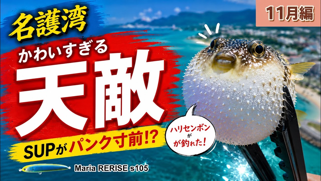 インフレータブルサップの【天敵】が釣れました
