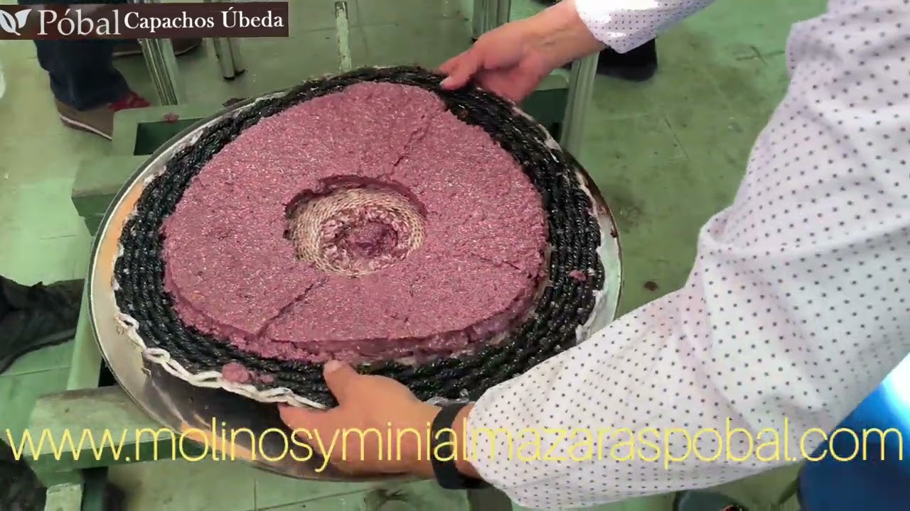 Como hacer aceite. Mini almazaras para autoconsumo