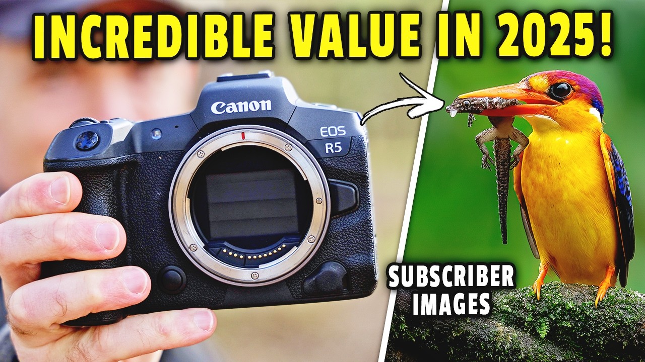 Why the Canon R5 Is the Best Value Wildlife Camera in 2025