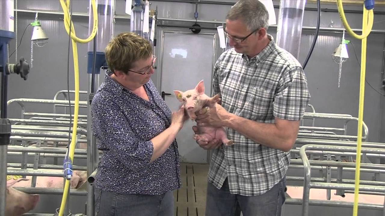 Stap in de Stal | Boerderij Wikkerink | Weekend van het Varken
