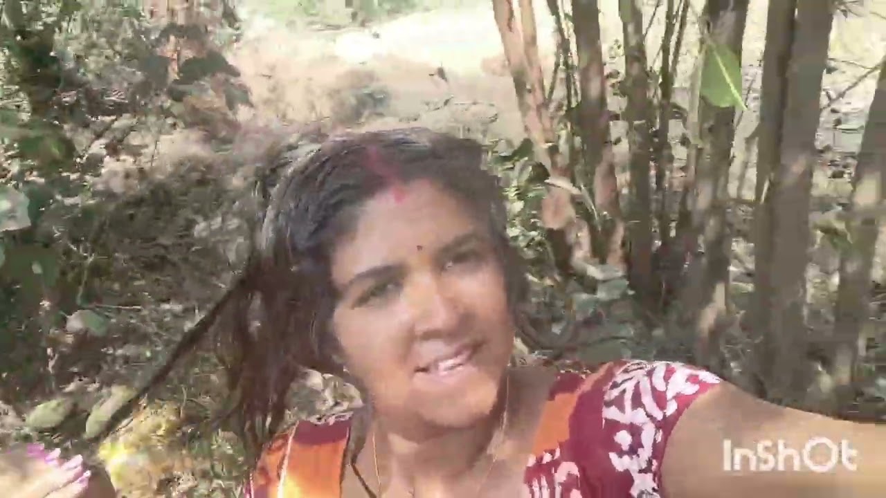 কুল চুরি করে খাওয়ার মজাটাই আলাদা,, যেমন মজা তার তেমন সাজা 🤤😂#minivlog 